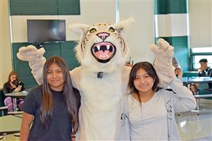 Wildcat Tour